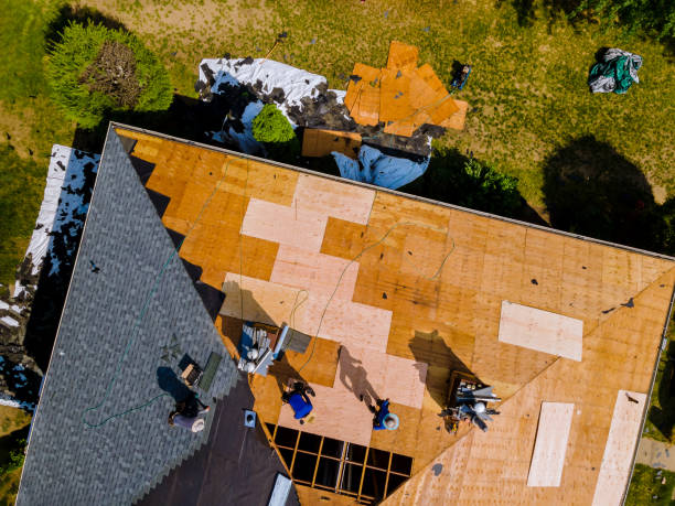 Roof Gutter Cleaning in Sycamore, IL