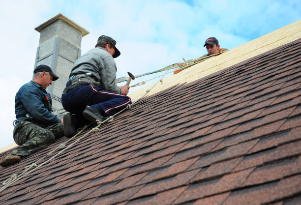 Best Gutter Installation and Roofing  in Sycamore, IL